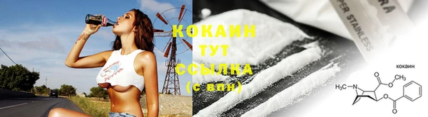 спиды Корсаков