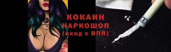 спиды Корсаков