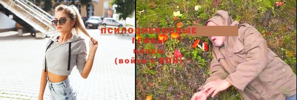 соль курить ск Костерёво