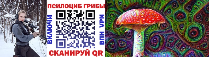 Псилоцибиновые грибы ЛСД  Купить  Пустошка 